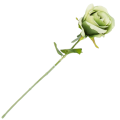 [w0584] Róża na gałązce 47cm kremowo-zielona