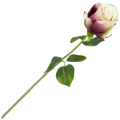 [w0586] Róża na gałązce 47cm kremowo-fioletowa