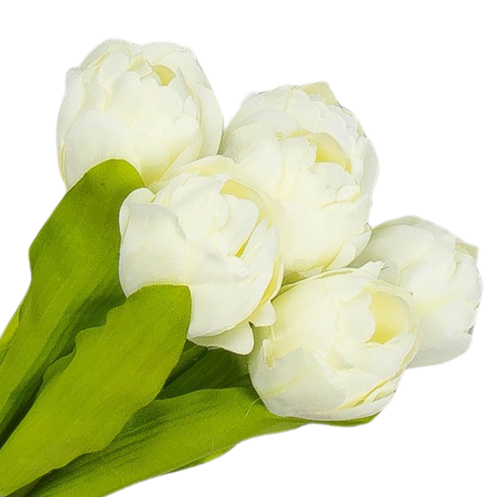 [w04318] Bukiet tulipanów pełnych 7 kwiatów kremowy 39cm