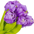 [w04323] Bukiet tulipanów pełnych 7 kwiatów fioletowy 39cm