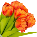 [w04324] Bukiet tulipanów pełnych 7 kwiatów orange 39cm