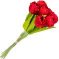 [w04325] Bukiet tulipanów pełnych 7 kwiatów czerwony 39cm