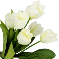 [w04326] Bukiet tulipanów kremowy 47cm