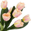 [w04327] Bukiet tulipanów kremowo-różowy 47cm
