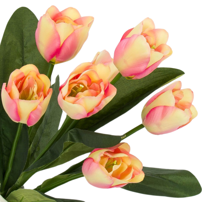 [w04328] Bukiet tulipanów kremowo-karminowy 47cm