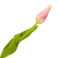 [w04338] Tulipan na gałązce drobny 49cm kremowo-różowy