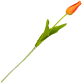 [w04340] Tulipan na gałązce drobny 49cm pomarańczowy cieniowany