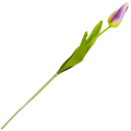 [w04341] Tulipan na gałązce drobny 49cm fioletowy cieniowany
