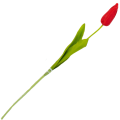 [w04342] Tulipan na gałązce drobny 49cm czerwony