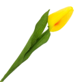 [w04034] Tulipan na gałązce 50cm żółty
