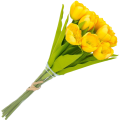 [w04359] Bukiet tulipanów żółty 9 kwiatów