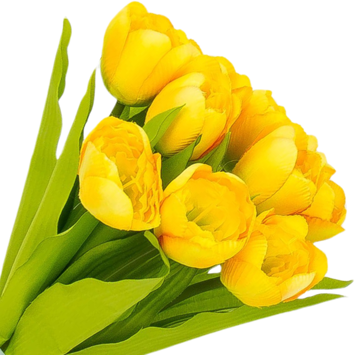 [w04359] Bukiet tulipanów żółty 9 kwiatów