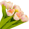 [w04360] Bukiet tulipanów kremowo-różowy 9 kwiatów