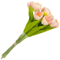 [w04360] Bukiet tulipanów kremowo-różowy 9 kwiatów
