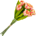 [w04361] Bukiet tulipanów kremowo-amarantowy 9 kwiatów