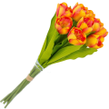 [w04362] Bukiet tulipanów pomarańczowo-różowy  9 kwiatów