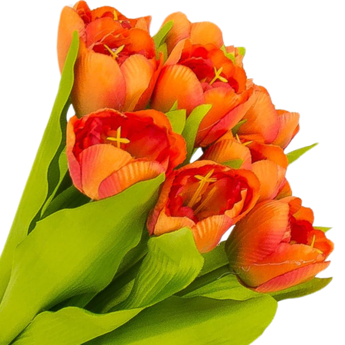 [w04363] Bukiet tulipanów pomarańczowy  9 kwiatów