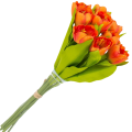 [w04363] Bukiet tulipanów pomarańczowy  9 kwiatów