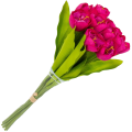 [w04366] Bukiet tulipanów fuksja 9 kwiatów