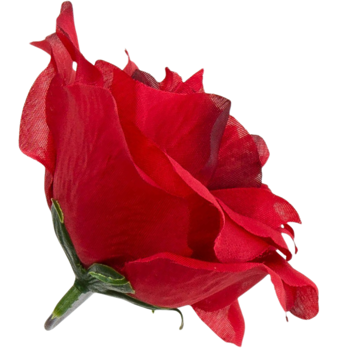 Kopia Kopia Kopia Kopia Kopia Kopia Kopia Kopia Bez tytułu - 2024-03-24T153044.930.png