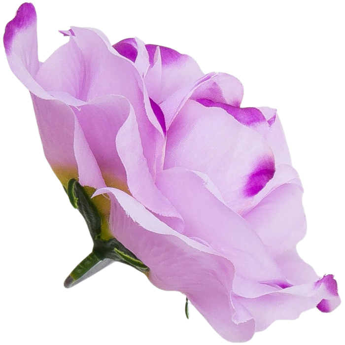 Kopia Kopia Kopia Kopia Kopia Kopia Kopia Kopia Bez tytułu - 2024-03-24T152650.807.png