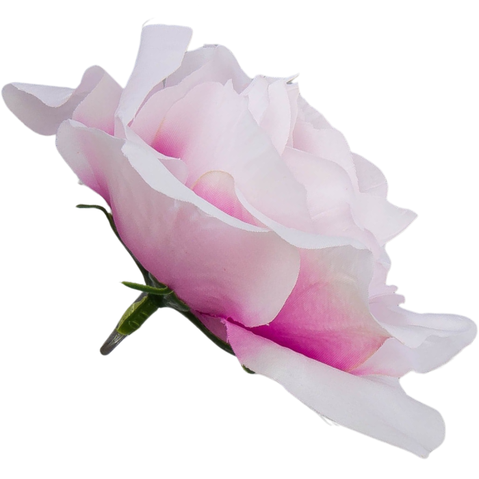 Kopia Kopia Kopia Kopia Kopia Kopia Kopia Kopia Bez tytułu - 2024-03-24T152137.259.png