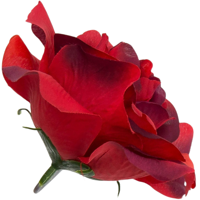 Kopia Kopia Kopia Kopia Kopia Kopia Kopia Kopia Bez tytułu - 2024-03-24T152034.888.png