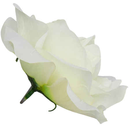 [w129081] Róża główka 12cm kremowa