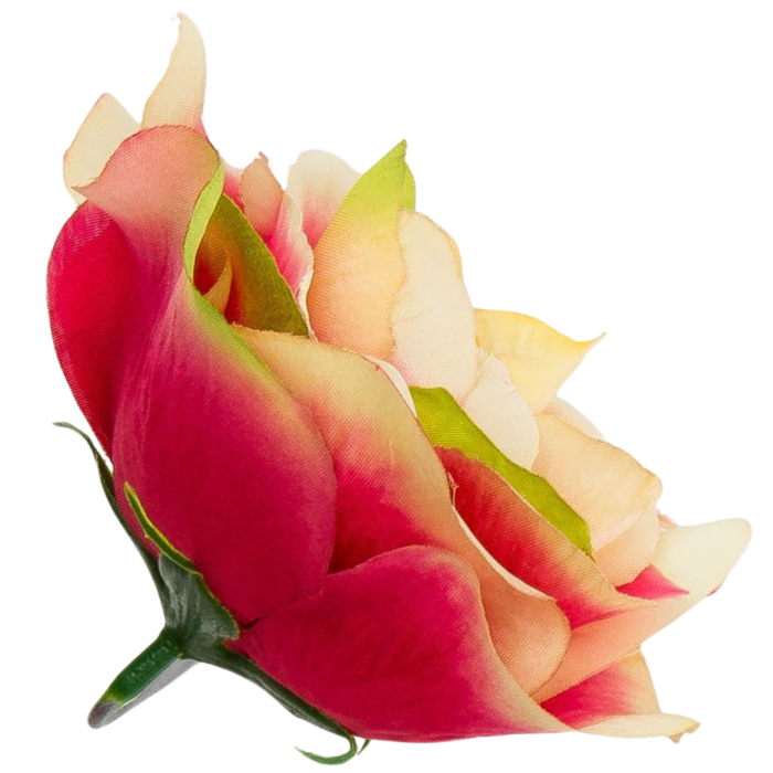 Kopia Kopia Kopia Kopia Kopia Kopia Kopia Kopia Bez tytułu - 2024-03-24T150507.575.png