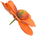 [w10002] Główka kwiatowa magnolia 11cm ciemnopomarańczowa 12szt