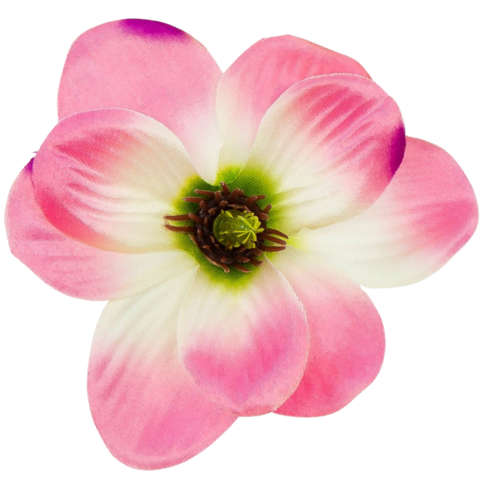 Kopia Kopia Kopia Kopia Kopia Kopia Kopia Kopia Bez tytułu - 2024-03-24T212524.530.png
