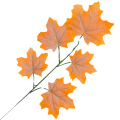 Kopia Kopia Kopia Kopia Kopia Kopia Kopia Kopia Bez tytułu - 2024-04-16T113543.583.png