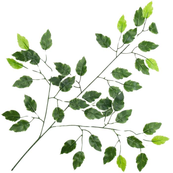 Kopia Kopia Kopia Kopia Kopia Kopia Kopia Kopia Bez tytułu - 2024-04-16T114023.114.png