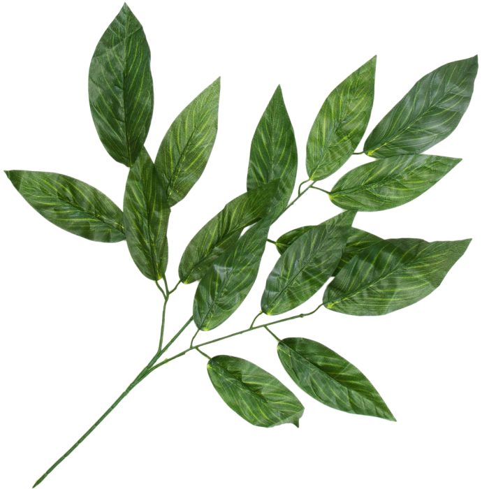 Kopia Kopia Kopia Kopia Kopia Kopia Kopia Kopia Bez tytułu - 2024-04-16T123018.206.png