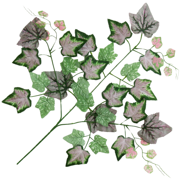 Kopia Kopia Kopia Kopia Kopia Kopia Kopia Kopia Bez tytułu - 2024-04-16T123846.325.png