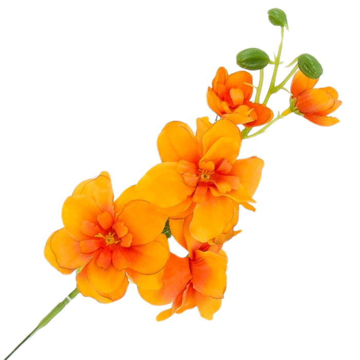 Kopia Kopia Kopia Kopia Kopia Kopia Kopia Kopia Bez tytułu - 2024-04-16T130342.609.png