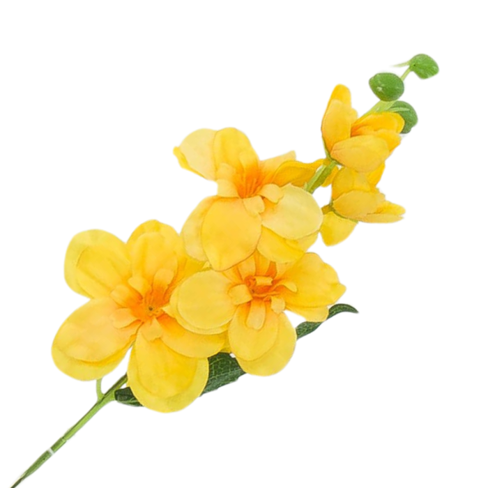 Kopia Kopia Kopia Kopia Kopia Kopia Kopia Kopia Bez tytułu - 2024-04-16T133322.112.png