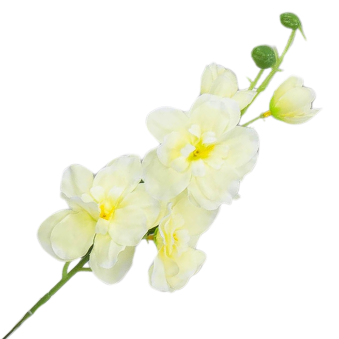 Kopia Kopia Kopia Kopia Kopia Kopia Kopia Kopia Bez tytułu - 2024-04-16T135935.491.png