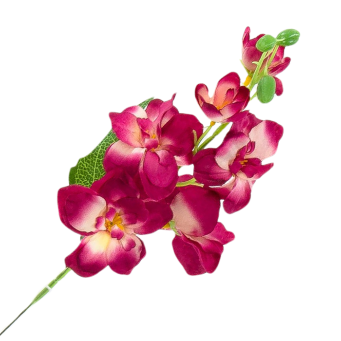 Kopia Kopia Kopia Kopia Kopia Kopia Kopia Kopia Bez tytułu - 2024-04-16T140821.330.png