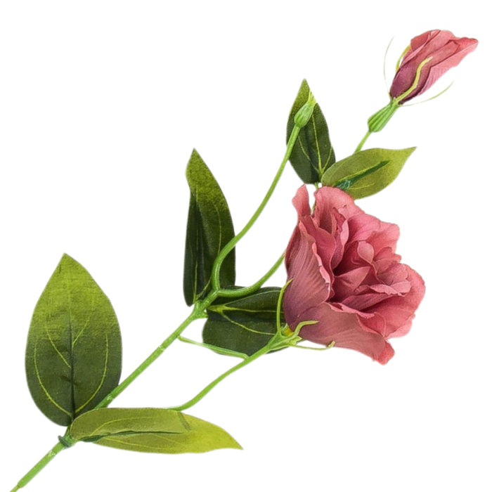 Kopia Kopia Kopia Kopia Kopia Kopia Kopia Kopia Bez tytułu - 2024-06-03T233717.305.png