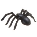 [80517] Sztuczne pająki plastikowe czarne 10szt