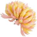 [68d8350] Główka chryzantema 16 płatków 14cm żółto- różowa