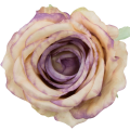 [68b2009] Róża główka 10cm kremowo- fioletowa