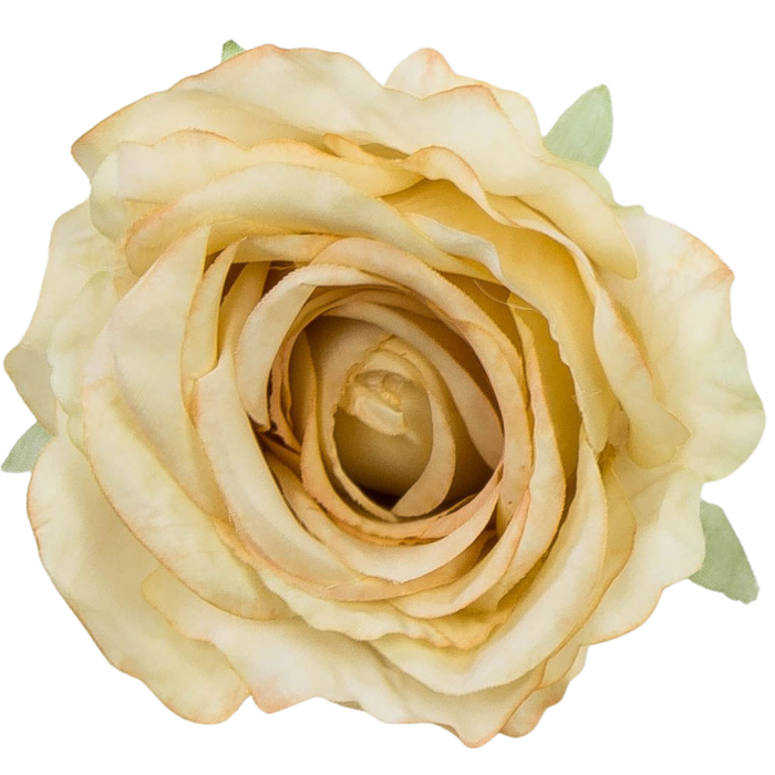 [68b2011] Róża główka 10cm jasnożółta