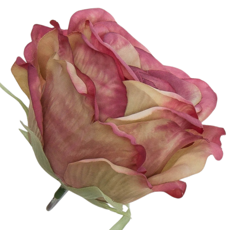 [68b2018] Róża główka 10cm różowo-kremowa