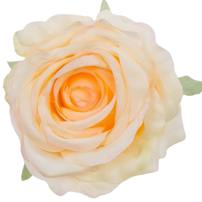 [68b2010] Róża główka 10cm brzoskwiniowa