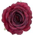 [68b2003] Róża główka 10cm bordowa cieniowana