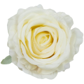[68b2008] Róża główka 10cm kremowa