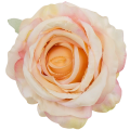 [68b2001] Róża główka 10cm różowo- kremowa