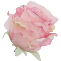 [68b2002] Róża główka 10cm różowa cieniowana